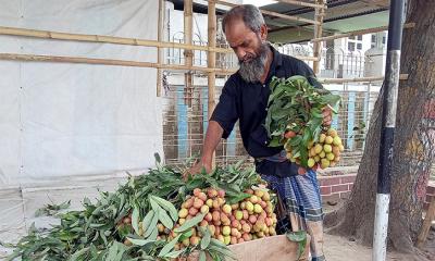 বাজারে আগাম লিচু, যা জানা গেল