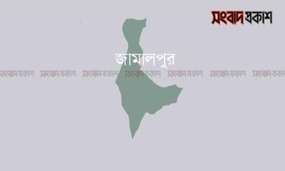 বড় ভাইয়ের দায়ের কোপে প্রাণ গেল ছোট ভাইয়ের