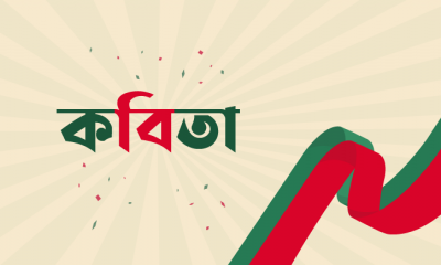 আলোর অসুখ । হাবীব ইমন