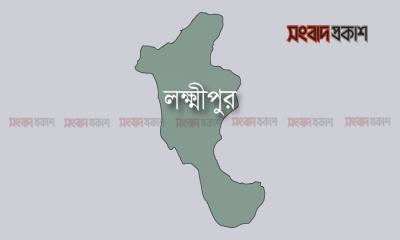 বড় ভাইকে খুনের দায়ে ছোট ভাইয়ের যাবজ্জীবন