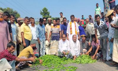 পাবনায় মহাসড়কে সবজি ঢেলে কৃষকদের প্রতিবাদ