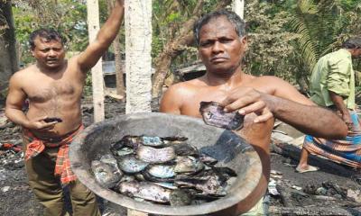 আগুনে পুড়ে ছাই টাকা