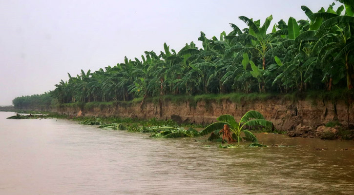 অবৈধ বালু উত্তোলন: হুমকির মুখে পদ্মাপাড়ের মানুষ