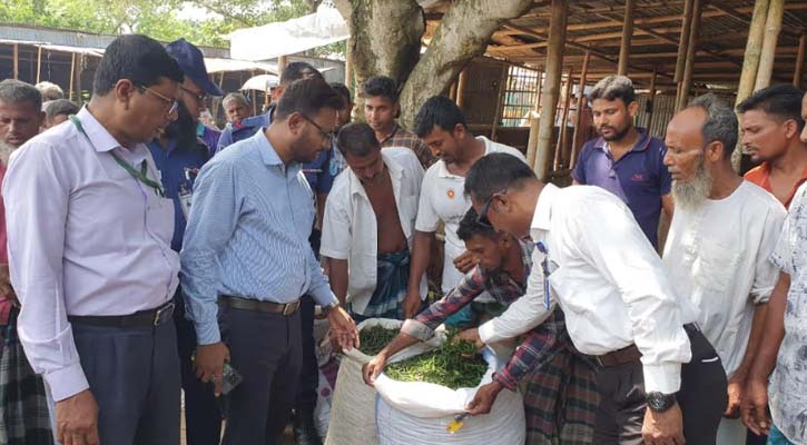 কাঁচা মরিচের বাজারে ভোক্তা অধিকারের অভিযান