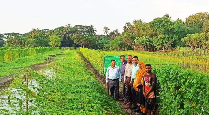 জিকেএসপির প্রকল্প পরিদর্শন করেছেন মহাপরিচালক