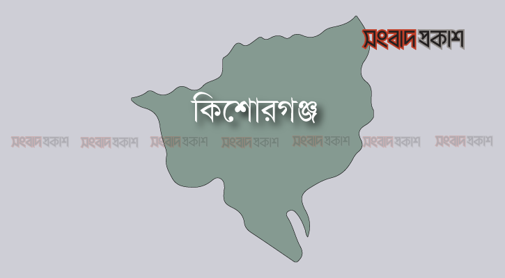 পতাকা টাঙাতে গিয়ে বিদ্যুৎস্পৃষ্টে দুই ভাইয়ের মৃত্যু